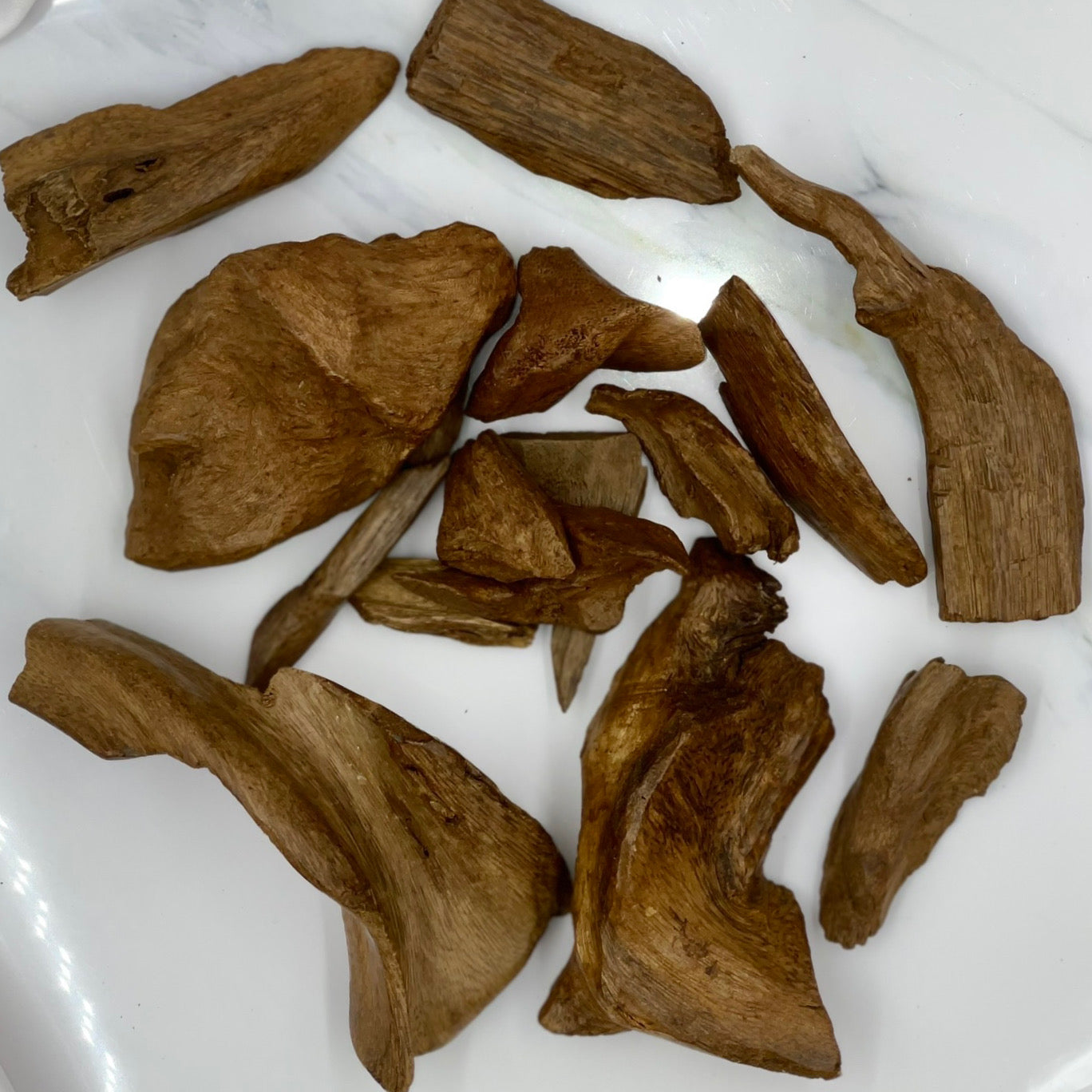 نوادر أعواد آسيا عود إندونيسي الموروكي الفاخر من نوادر غابات وجبال آصقون